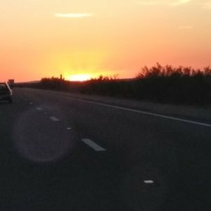 Meet your Posher, Jodi